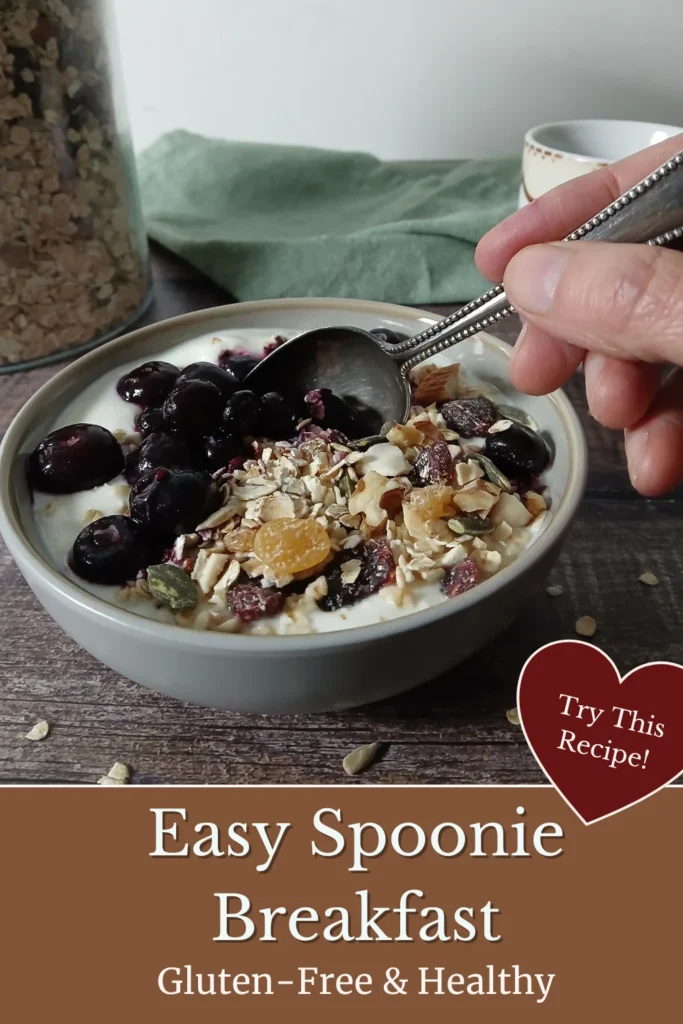 Close-up of a bowl of gluten-free vegan muesli topped with fresh blueberries.