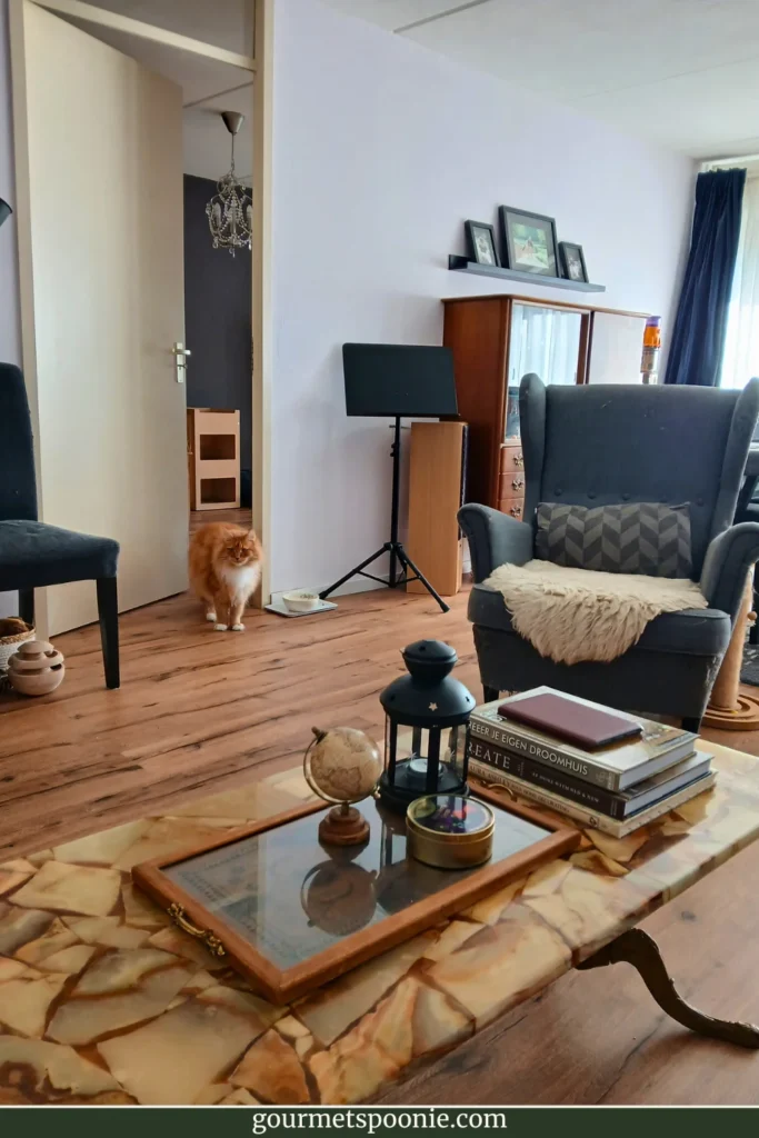 Wheelchair-accessible living room in a small Dutch flat with warm wooden furniture, cosy seating, and an orange cat walking into the room. A realistic glimpse into life with chronic illness at home.