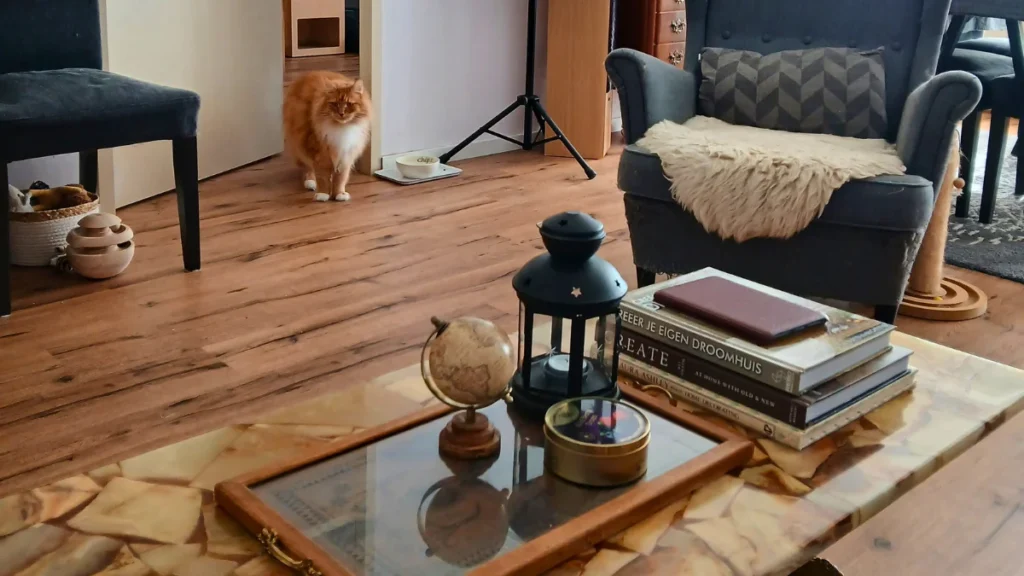 My 93m² Spoonie Home: Urban Life With Chronic Illness
