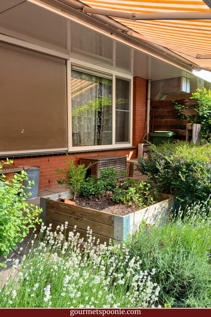 Accessible ground-floor flat in the Netherlands with raised garden beds and flowering lavender in summer sunshine.